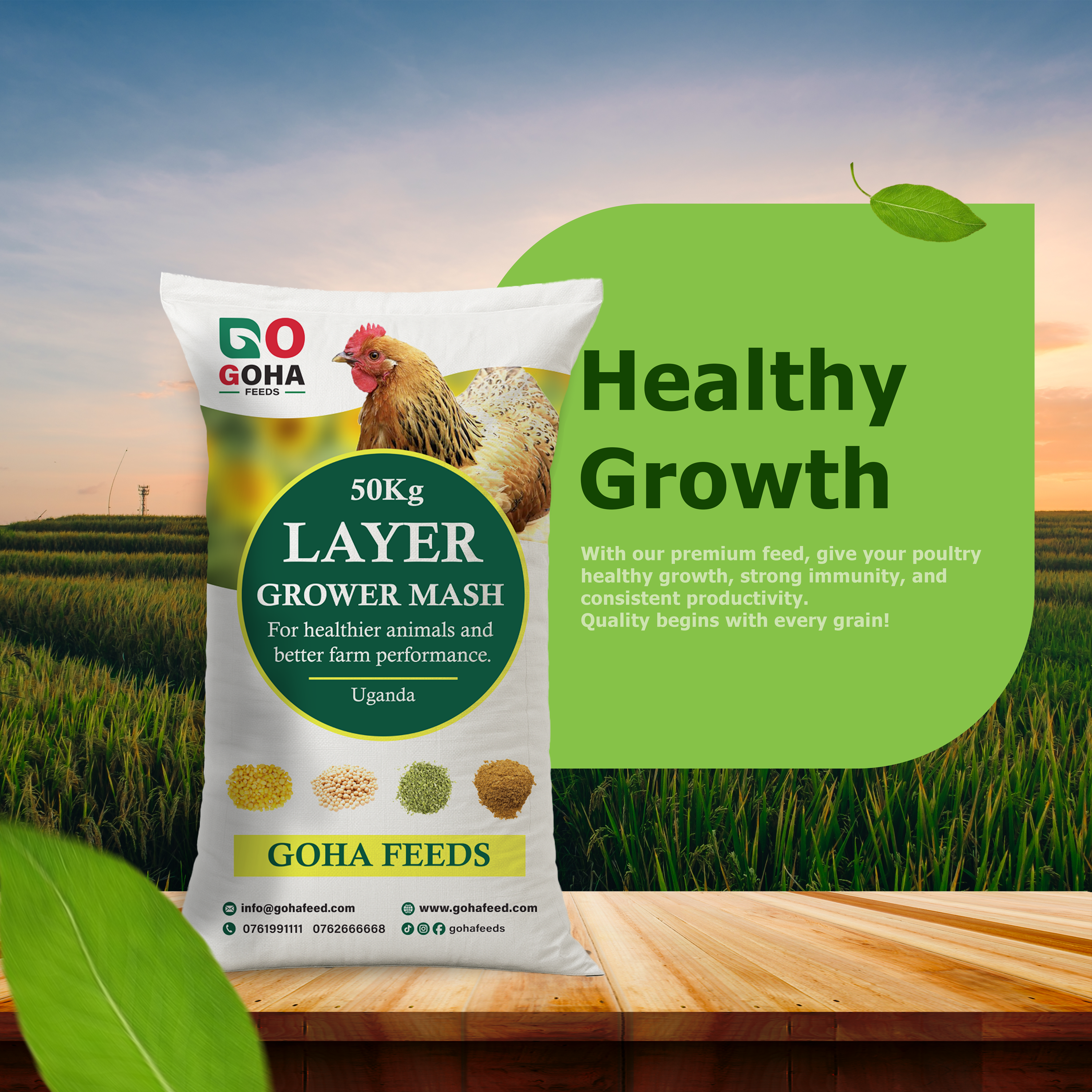 Sustainable Practices