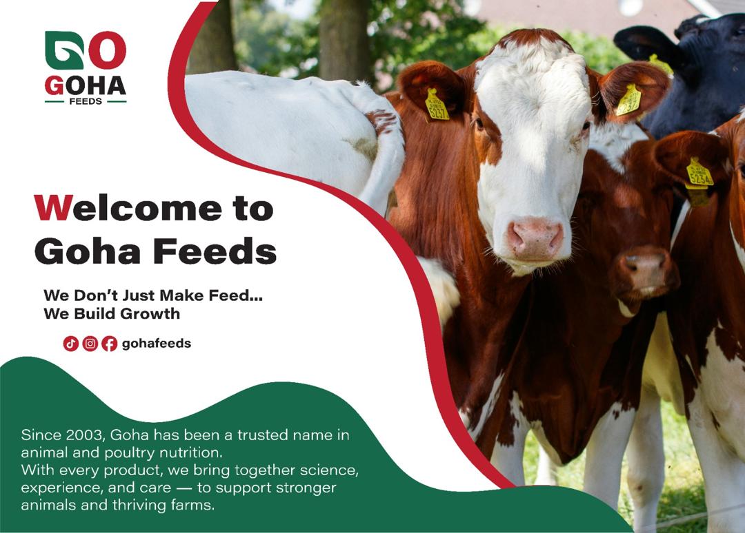 Goha Feeds Factory